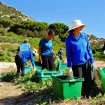 지속가능성을 위한 비영리단체의 역할 - **Prompt:** A vibrant, wide shot of a diverse group of volunteers of all ages, dressed in practical,...